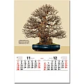 進口膠片月曆-TH-914-盆栽-11、12月份圖示-6