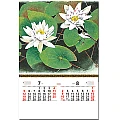 進口膠片月曆-TH-933-花鳥諷詠-7、8月份圖示-4