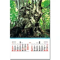 進口膠片月曆-TH-918-深山銘木-1、2月份圖示-1