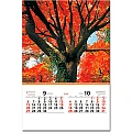 進口膠片月曆-TH-918-深山銘木-9、10月份圖示-5