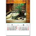 進口膠片月曆-TH-915-庭-7、8月份圖示-4